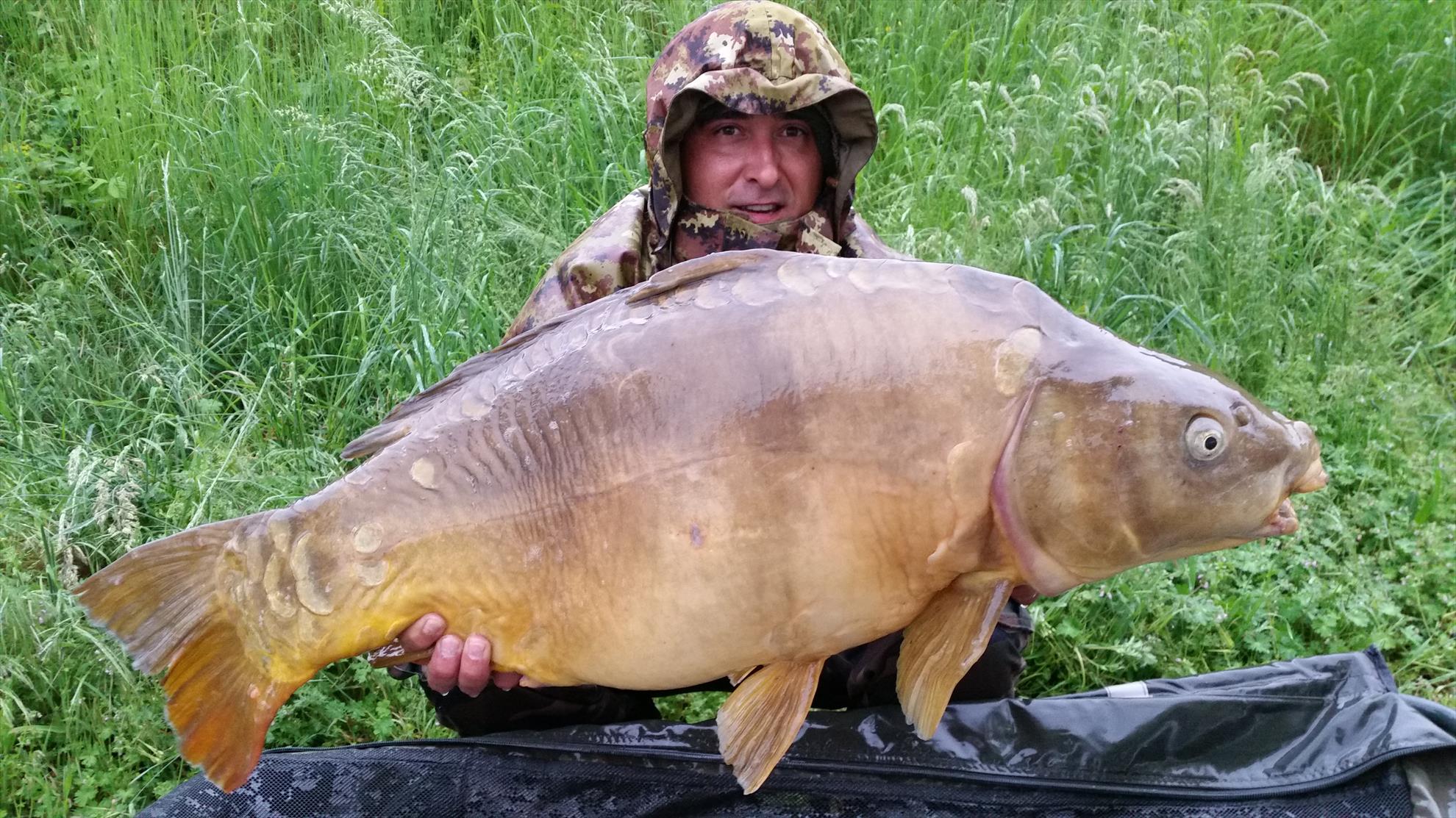 regiune Rhône-Alpes 11 mai 2016 - 20160511190838.jpg